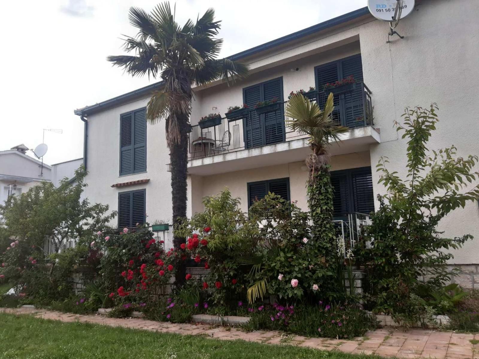 Apartments Palm House روفينج المظهر الخارجي الصورة