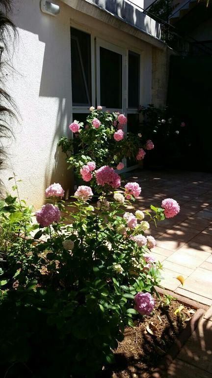 Apartments Palm House روفينج المظهر الخارجي الصورة